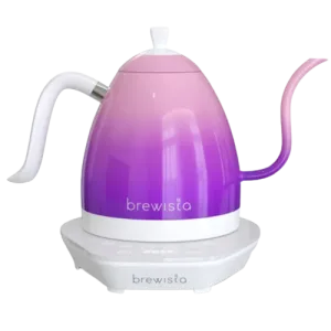 Brewista Artisan 1.0L Kettle - Candy Purple