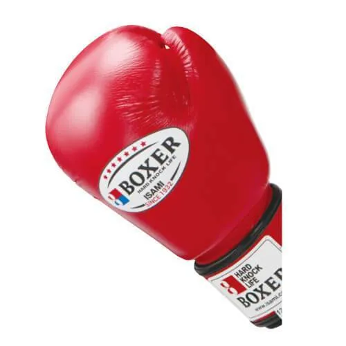 Thai Boxing Gloves